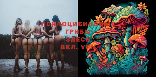 экстази Алзамай